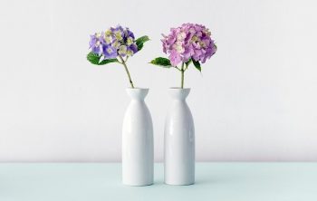 Puissance d’un vase : élément clé dans la décoration d’une maison