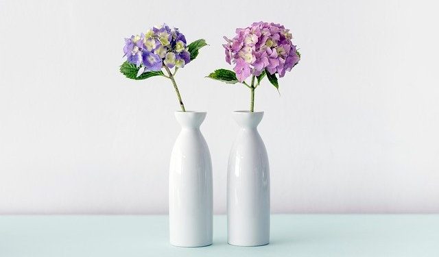 Puissance d’un vase : élément clé dans la décoration d’une maison