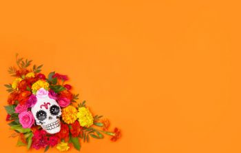 Où trouver de la décoration skull sur internet ?