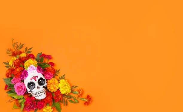 Où trouver de la décoration skull sur internet ?