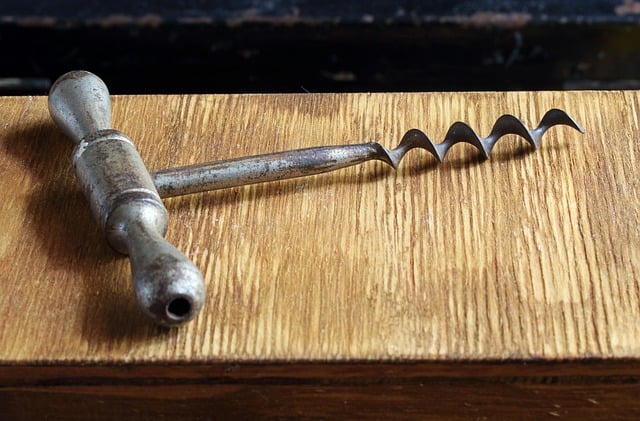 Expérience unique&nbsp;: tire-bouchons originaux à découvrir