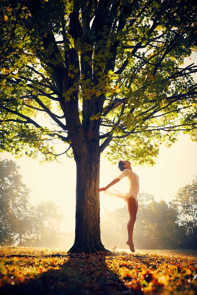 Guide pour choisir votre arbre de vie en pierre naturelle !